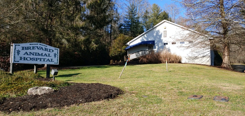 Brevard Animal Hospital in Brevard, NC